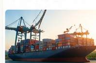 International export market access