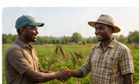 Farmers working together
