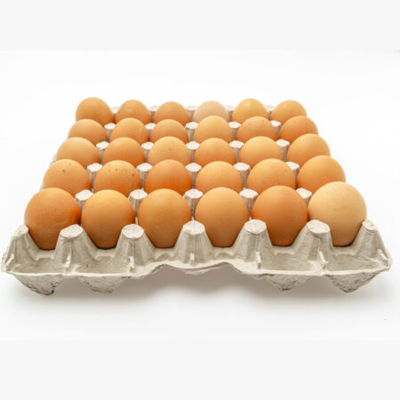 Egg