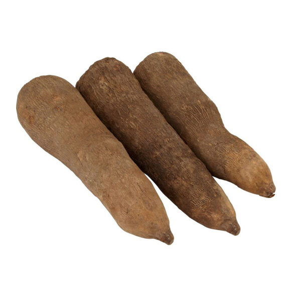 Yam - Olondo
