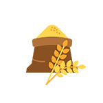 Grains / Cereals