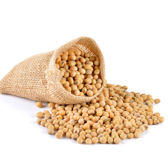Soya Beans